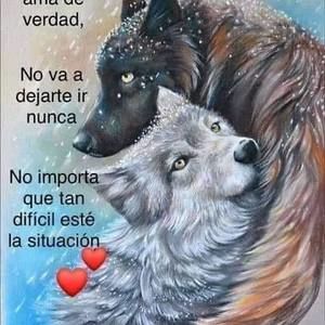 Meet your Posher, Antonio